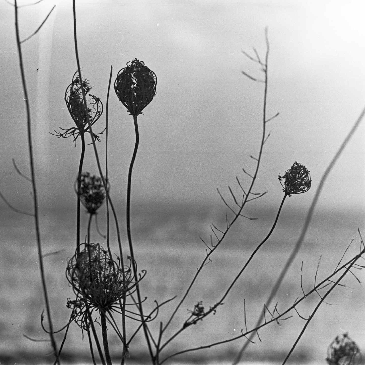 Recondite – Placid