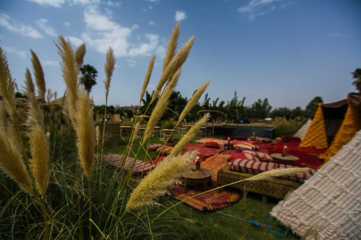 OASIS FESTIVAL 2016 - Morocco