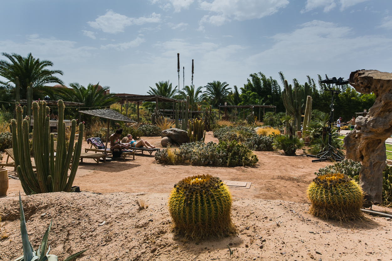 OASIS FESTIVAL 2016 - Morocco