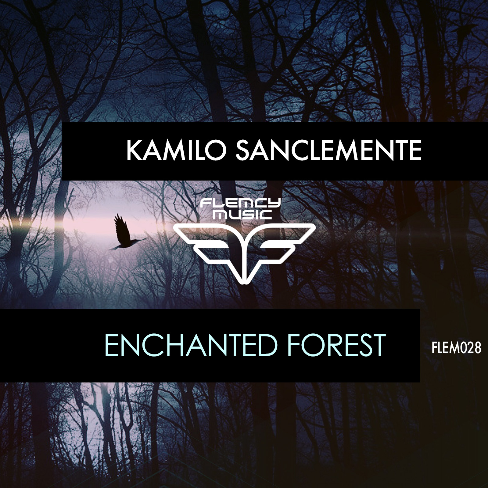 Kamilo Sanclemente - Enchanted Forest