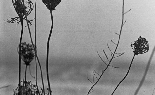 Recondite – Placid