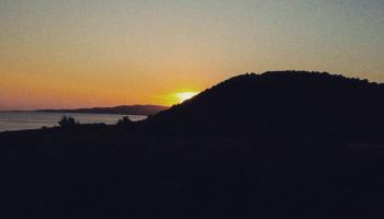 vatera