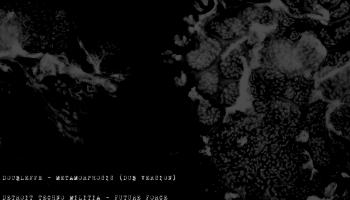 Press release - Coma Records Press release - Coma Records