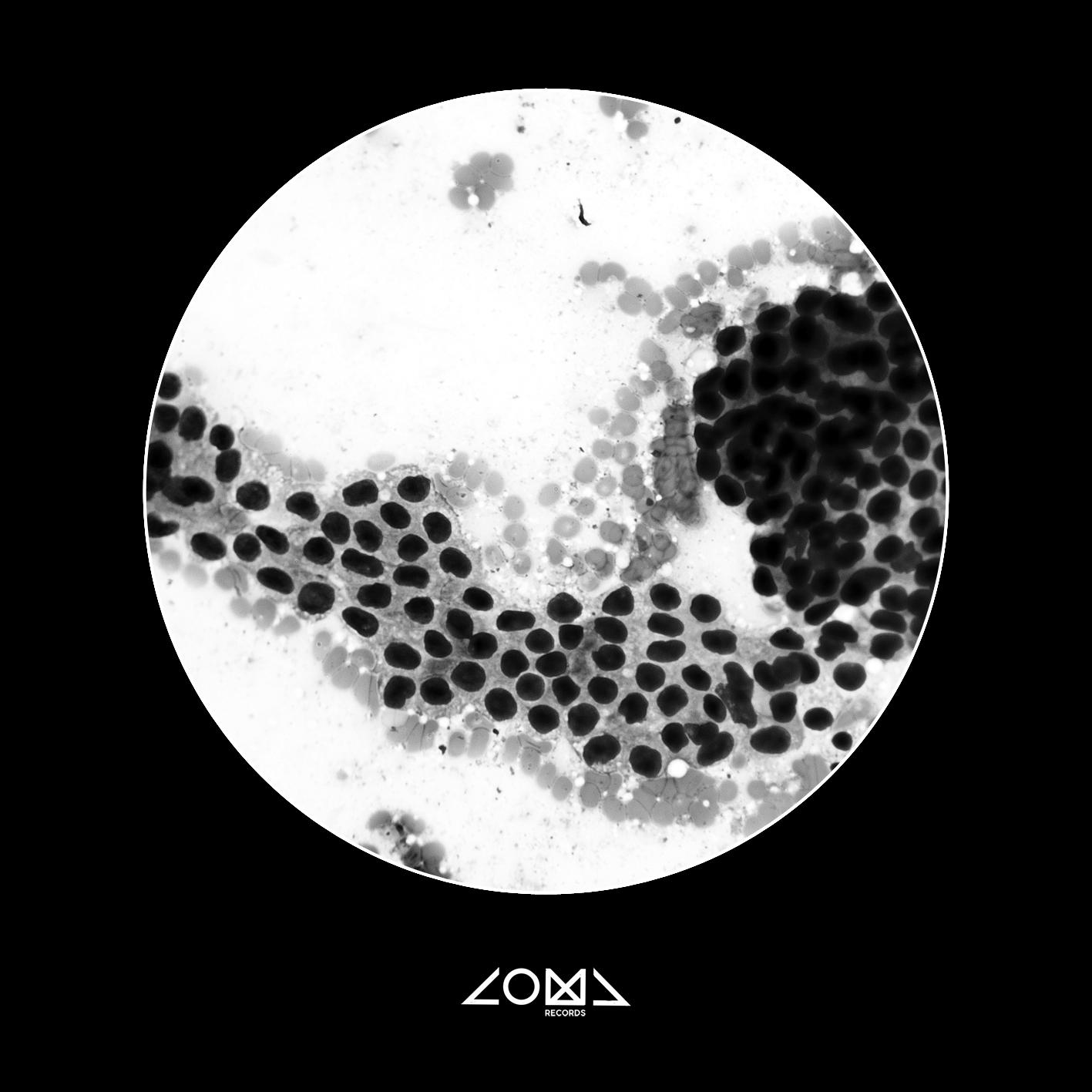 Press release - Coma Records