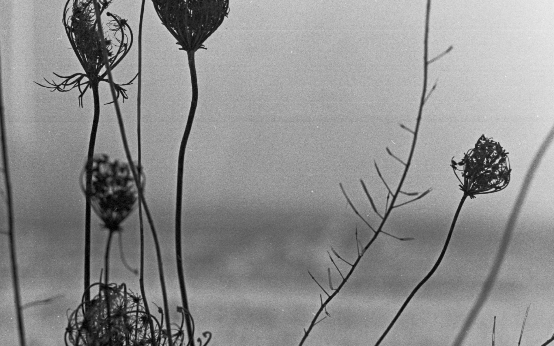 Recondite – Placid