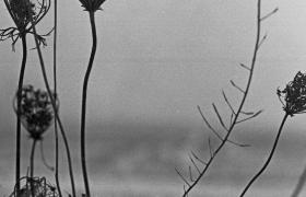 Recondite – Placid