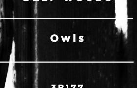 Deep Woods - Owls