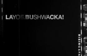 Layo & Bushwacka - Rising and Falling (album)