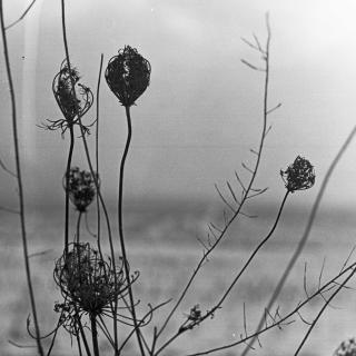 Recondite – Placid