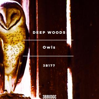 Deep Woods - Owls