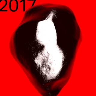 FASMA Festival 2017