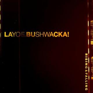 Layo & Bushwacka - Rising and Falling (album)