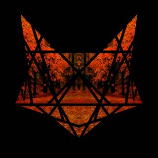 FOXTRAP - KONTROL