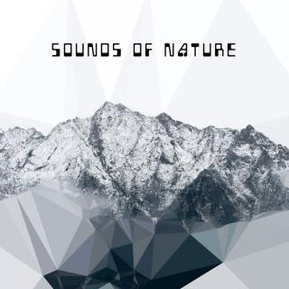 Sounds of Nature